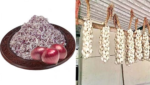 कांदा प्रक्रियेतून अर्थार्जन