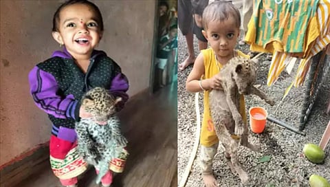 नाशिक : चिमुकलीने मांजरीचे पिल्लू समजून बिबट्याचा बछडा आणला घरी, सगळेच झाले अवाक