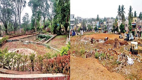 कोल्हापूर : कचर्‍याची समस्या गंभीर; मोकाट जनावरांचा उपद्रव