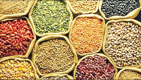 सोलापूर : बियाणे खरेदीसाठी अनुदान 600, खर्च 900 रु.