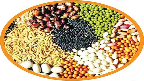 खते, बियाणातील गैरप्रकार रोखण्यासाठी १२ भरारी पथके