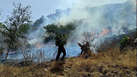 दिंडोरी: येथील न्याहाराई डोंगराला लागलेली आग विझवतांना स्वराज्य संवर्धन बहुउद्देशीय संस्थेचे सदस्य. (छाया -समाधान पाटील)