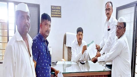 वाढत्या दरामुळे सूर्यफूल बियाणे उपलब्ध करून द्या