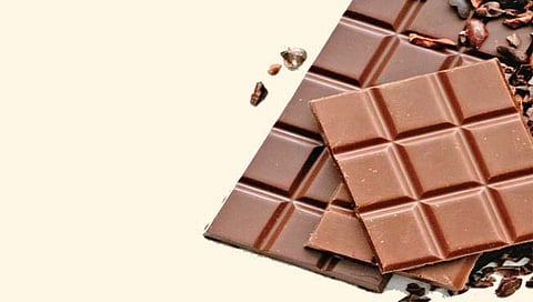 चॉकलेट मेकिंगचं करिअर