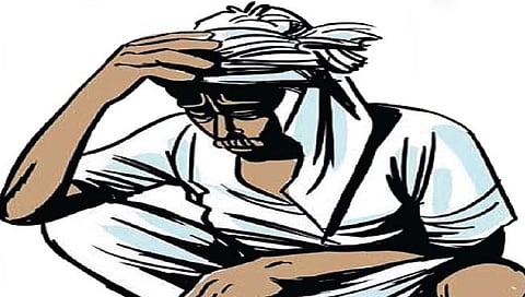 सांगली : विद्राव्य खतांना भेसळीचा डोस