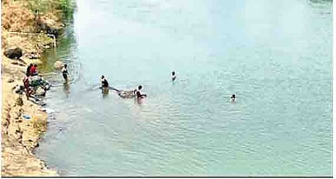 उन्हाळ्यात पोहण्याचा मोह बेततोय जिवावर!