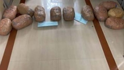 Sangli : वड्डीतील ‘त्या’ फार्महाऊसमधून २२.८३ किलो गांजा जप्त; एकास अटक