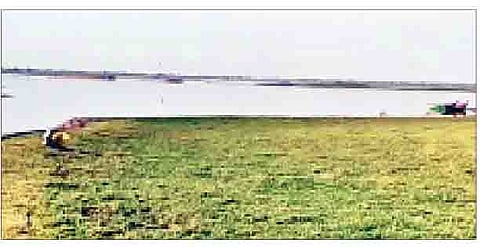 उजनी धरणात पाच टीएमसी पाणीसाठा