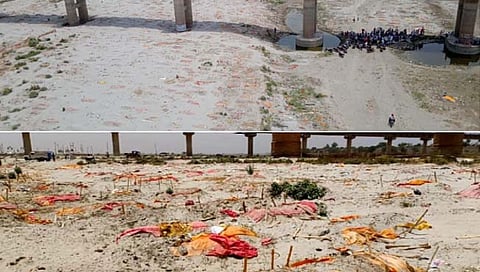 प्रयागराजमध्ये भयावह चित्र, गंगेच्या तीरावर मृतदेहांचे दफन सुरूच