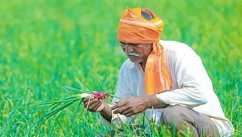 खतांच्या दरवाढीमुळे बळीराजा संकटात