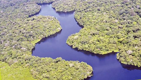 नऊ देशांमधून वाहणार्‍या नदीवर नाही एकही पूल