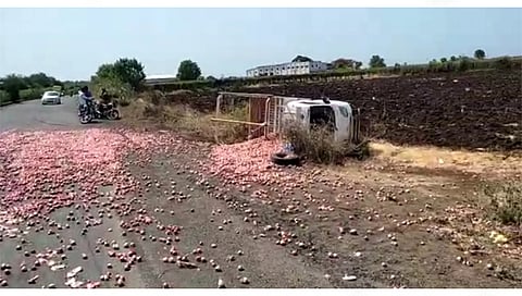 लासलगाव : नाशिक-औरंगाबाद राज्य मार्गावर निफाड तालुक्यातील भरवस फाटा येथे दोन वाहनामध्ये अपघात घडल्याने भरलेला कांद्याचे वाहन पलटी झाल्याने रस्त्यावर पसरलेला कांदा. (छाया: राकेश बोरा)