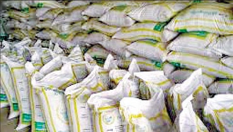 मान्सूनची हुलकावणी; कोट्यवधींची खते पडून