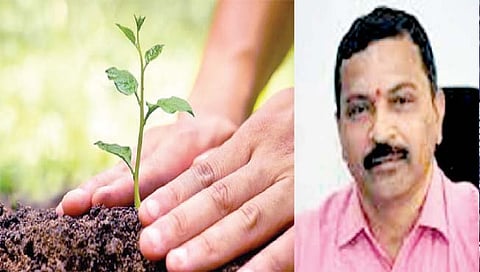 पालखीमार्गांवरिल गावांत दहा हजार झाडे लावणार