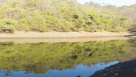 ठाणे : जिल्ह्यावर पाणीकपातीचे सावट