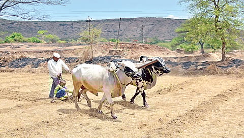 छाया- हेमंत घोरपडे