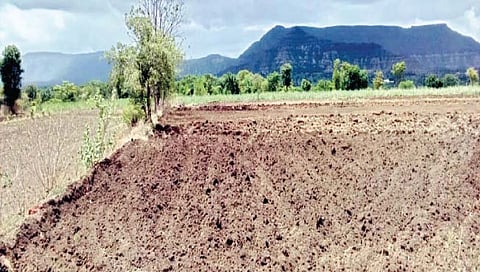 पाऊस लांबल्याने शेतकरी चिंतेत