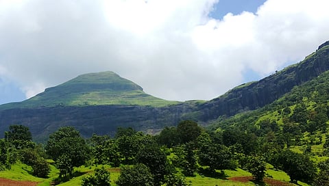 राज्यात नवीन 12 संवर्धन राखीव क्षेत्रे ; नाशिक जिल्ह्यातील कळवण, बागलाण, इगतपुरी, त्र्यंबकचा समावेश