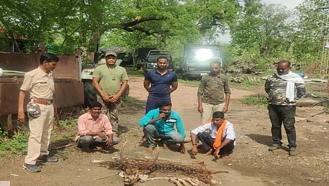 यवतमाळ : चितळाची शिकार करणाऱ्या तीन आरोपींना अटक