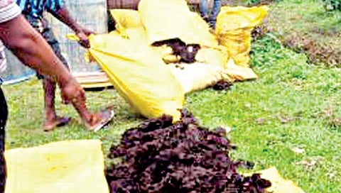 सांगली : बनावट खतांतून लुटीचा फंडा