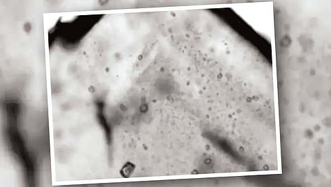 83 कोटी वर्षांपूर्वीच्या मिठातून जीवसृष्टीचे संकेत