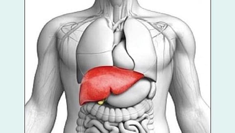 यकृत कसे राहील नीट?