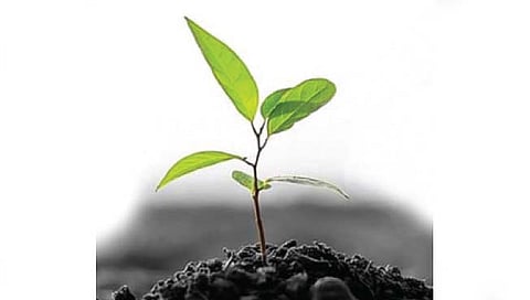 पर्यावरण र्‍हासाला शासकीय यंत्रणा जबाबदार