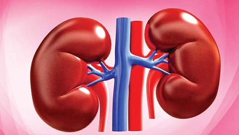 ठाणे : किडनीदात्याला ठरवले जाते रुग्णाचा नातलग