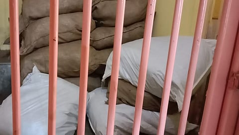 Nashik Crime : कळवण तालुक्यात वाहनासह साडेबारा लाखांचा गुटखा जप्त, एकास अटक