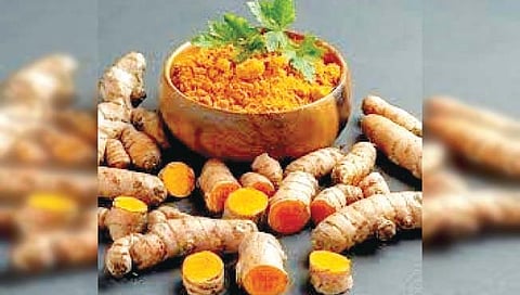 सांगली : हळदीच्या बाजारपेठेला चालना मिळणार