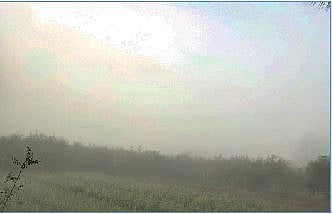 शिरूरच्या बेट भागात समाधानकारक पाऊस; पेरणीच्या कामाला येणार वेग