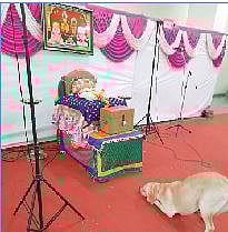 श्वान ‘विराट’ माउलींच्या चरणी नतमस्तक