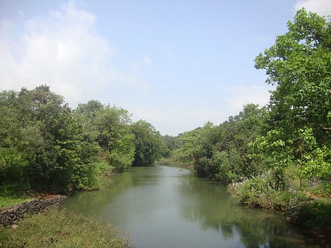 पिंपरी : मुळा नदी सुधारसाठी म्युन्सिपल बॉण्ड