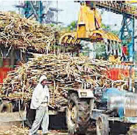 राज्यात तब्बल 1320 लाख मेट्रिक टन ऊस गाळप