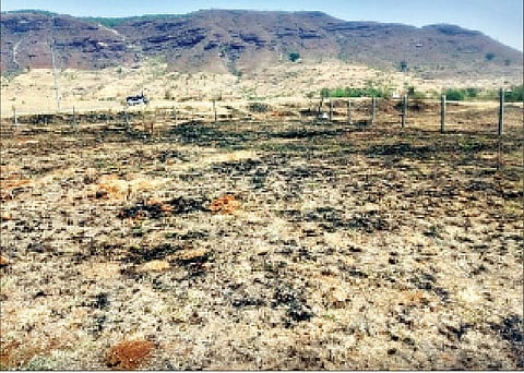 खेडचा पूर्व भाग कोरडाच; जोरदार पावसाची प्रतीक्षा