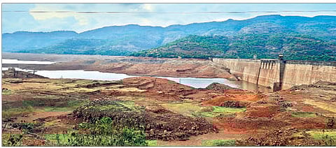 टेमघर परिसरातील नदी, तलाव, बंधारे कोरडेठाक