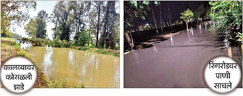 रविवारी झालेल्या पावसामुळे निरा डावा कालव्यावर पडलेली झाडे. दुसर्‍या छायाचित्रात बारामतीत रिंगरोडवर साचलेले पाणी.