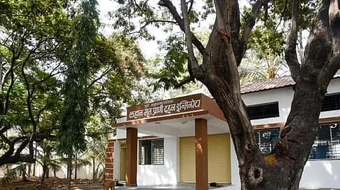 पॉझिटिव बातमी : चार वर्षात साडेतेवीस हजार प्राण्यांचे दहन