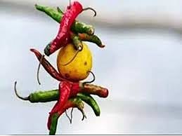 न्यायदेवतेच्या दारातच पुन्हा अंधश्रद्धा; कौटुंबिक न्यायालयाच्या आवारात कुंकवाने माखलेले लिंबू फेकले