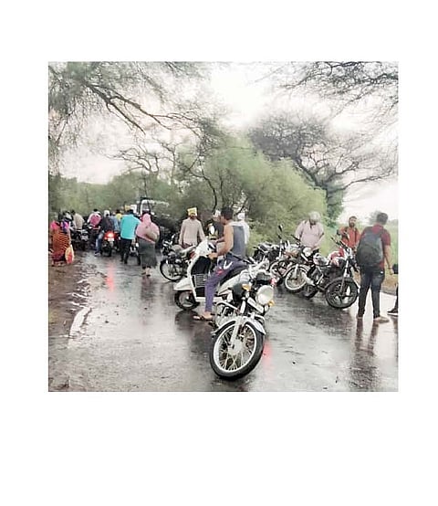 नरसाळीत झाड पडल्याने वाहतूक विस्कळीत