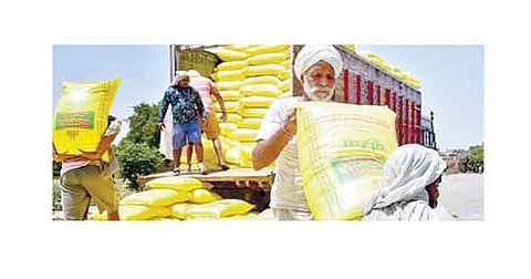 नगर : खरीप हंगामासाठी कृषी विभाग झाला सज्ज