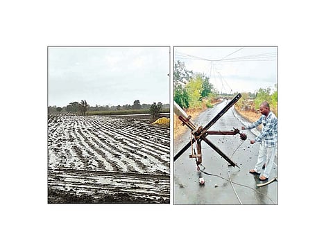 वांबोरीत तुफान पावसाने झोडपले, फळ बागांची मोठी हानी