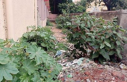 महर्षीनगरमधील मनपा शाळांच्या स्वच्छतेकडे प्रशासनाचे दुर्लक्ष