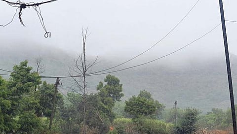 वारणा पट्ट्यासह वाळवा तालुक्यात पाऊस