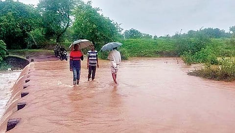 सोलापूर :  जिल्ह्यात अतिवृष्टी