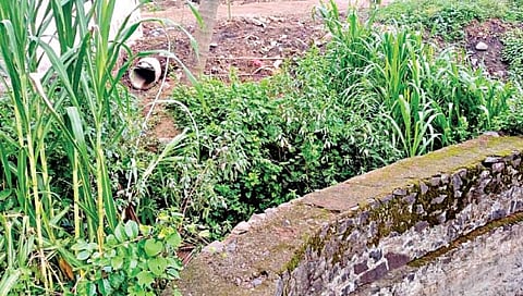 सातारा : खोटा अहवाल देऊन शासनाची फसवणूक