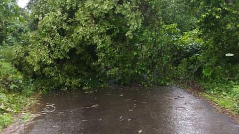 सावंतवाडी: सलग दुसऱ्या दिवशी मुसळधार