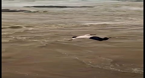 मालेगाव : त्याचा तो सूर शेवटचा ठरला ; ‘गिरणा’च्या पूरपाण्यात तरुण बेपत्ता