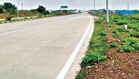 कोल्हापूर : दिंड्यांची सावली हरवली..!