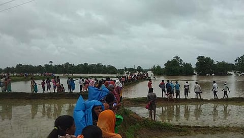 चंद्रपूर : रोप लावणीला गेले अन् पुरात अडकले; रात्रीपासून झाडावरच आश्रय!